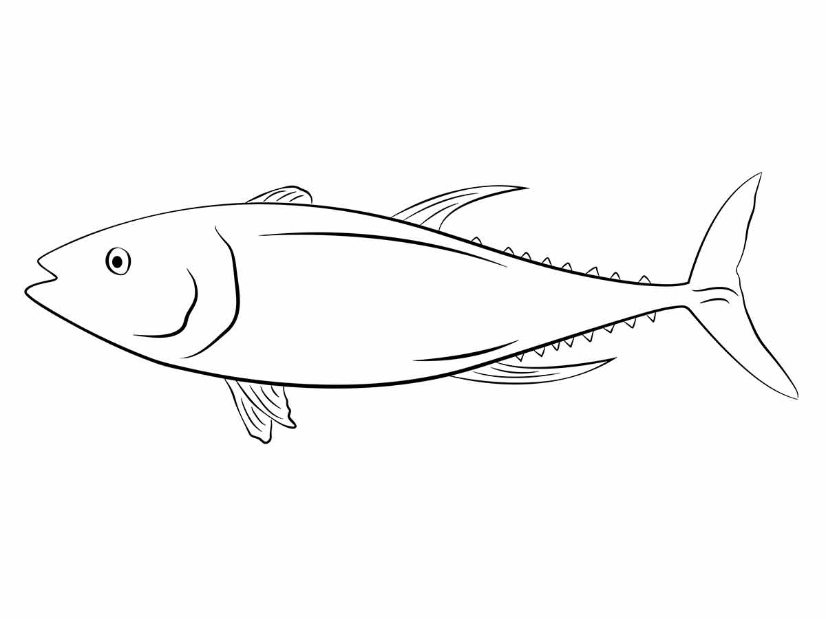 desenho de peixe para colorir 17