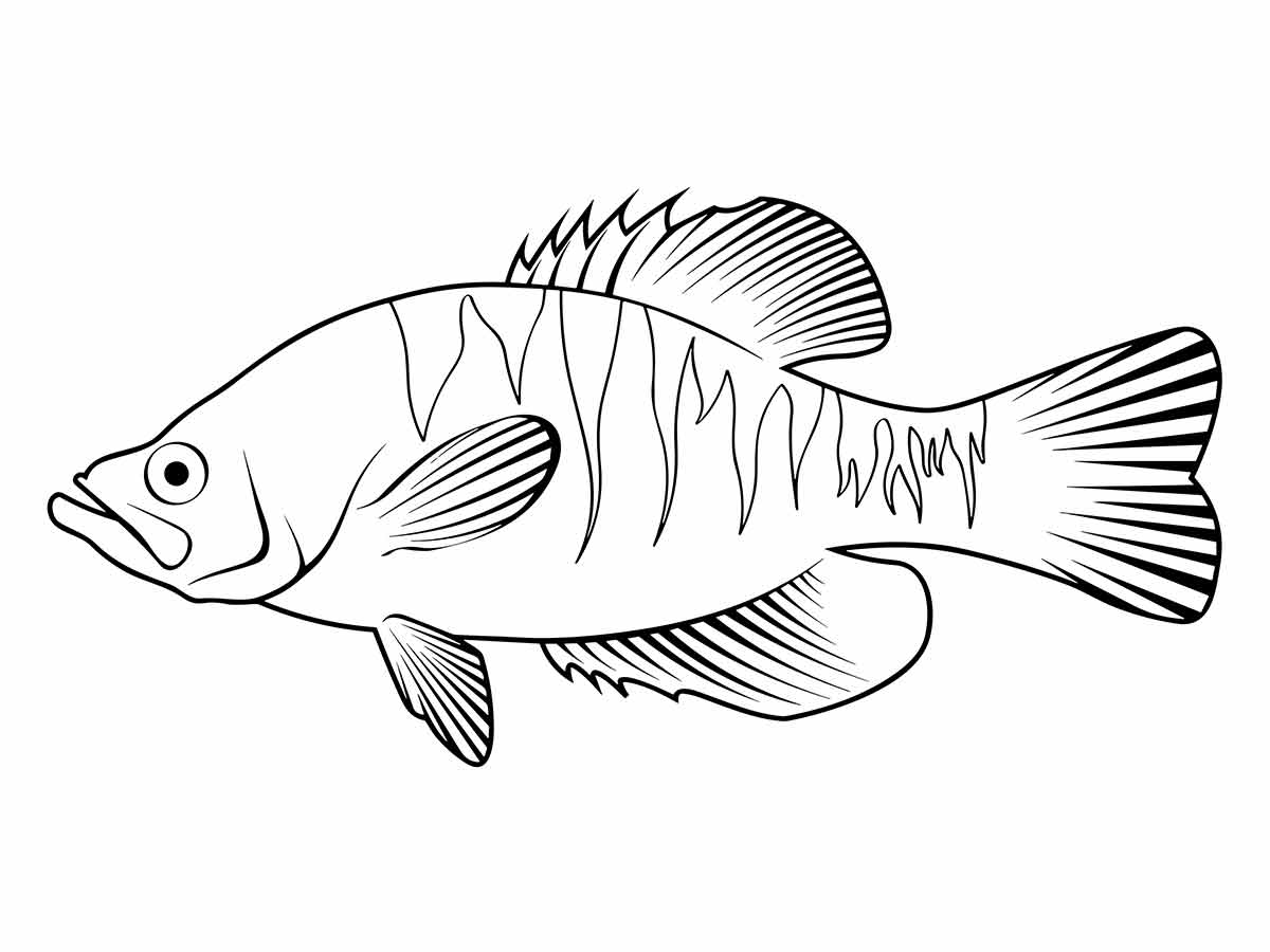 desenho de peixe para colorir 18