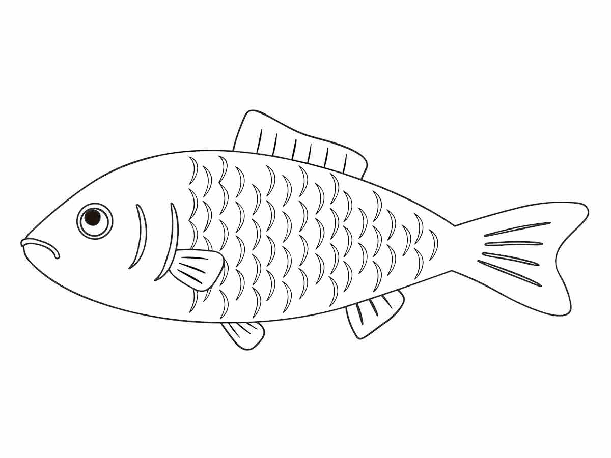 desenho de peixe para colorir 19