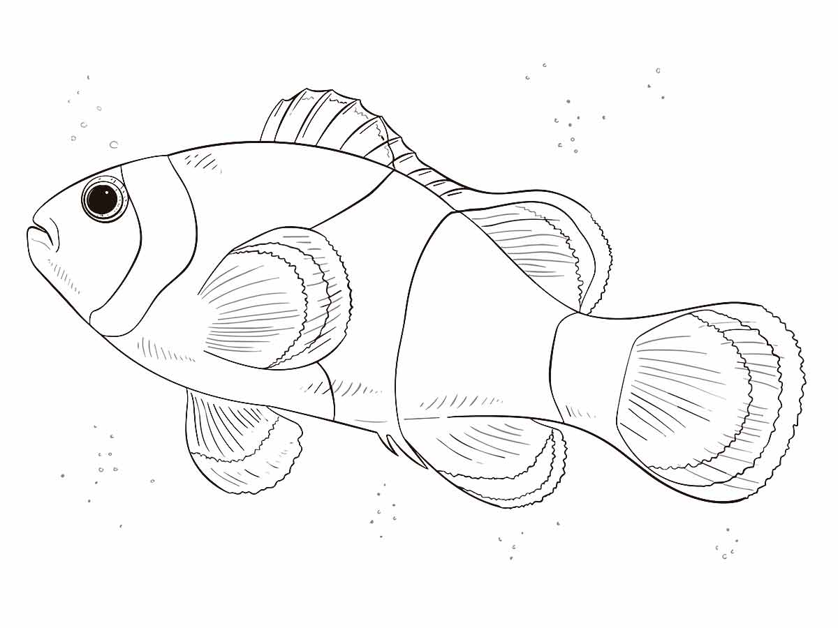 desenho de peixe para colorir 7