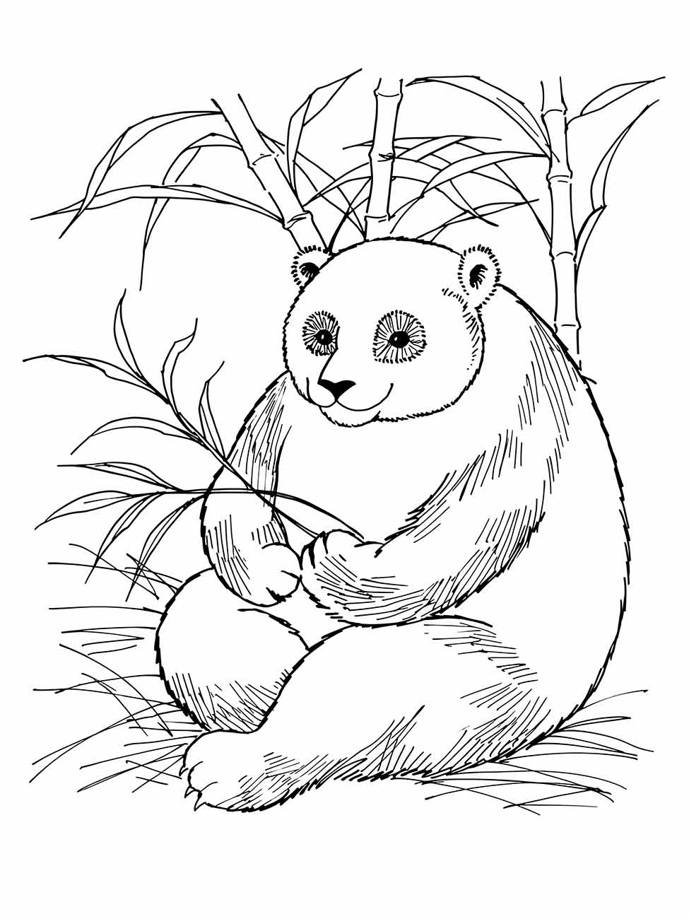 desenho panda para colorir 29