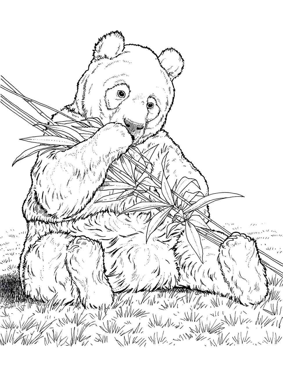 desenho panda para colorir 30