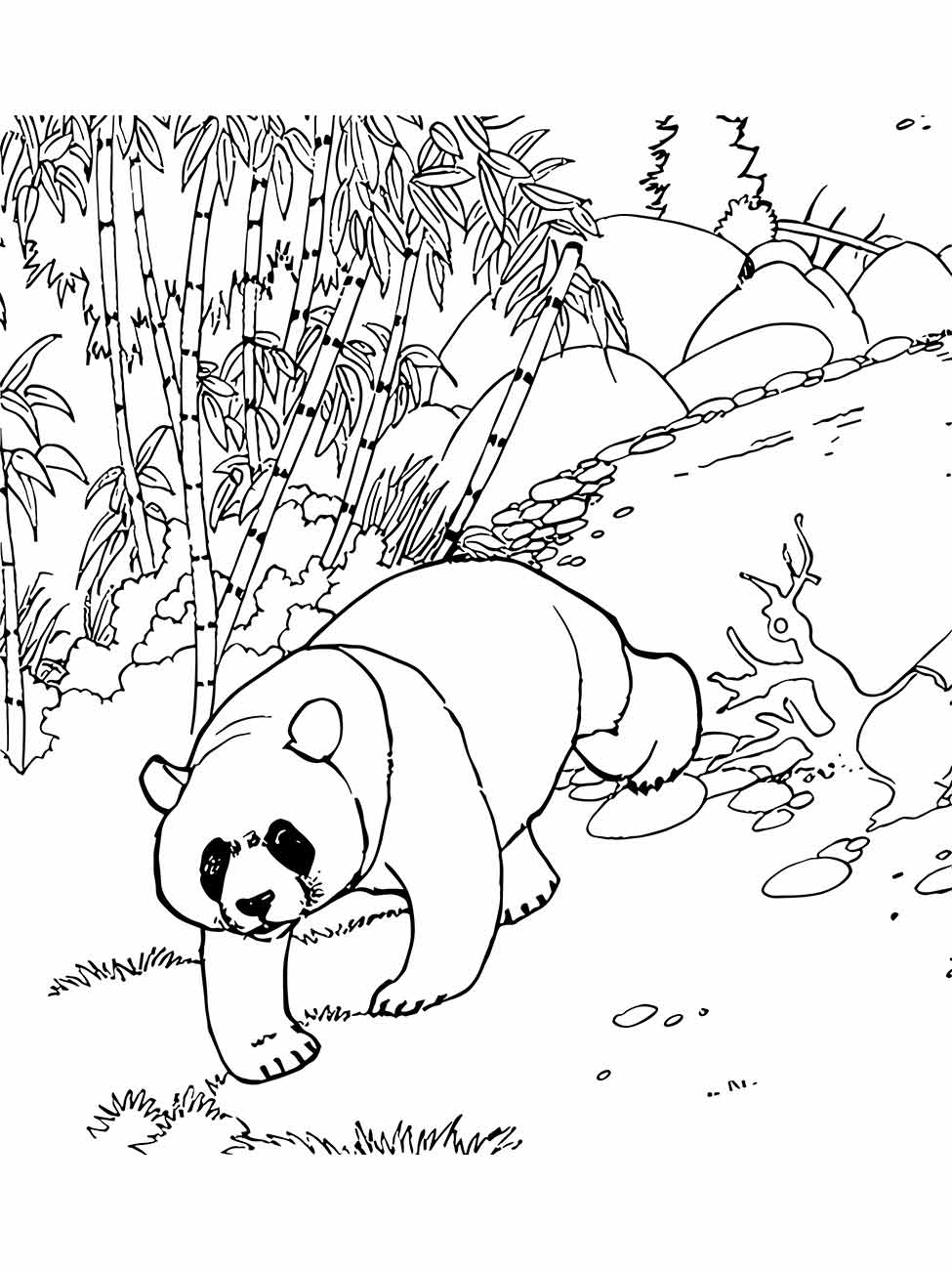 desenho panda para colorir 31