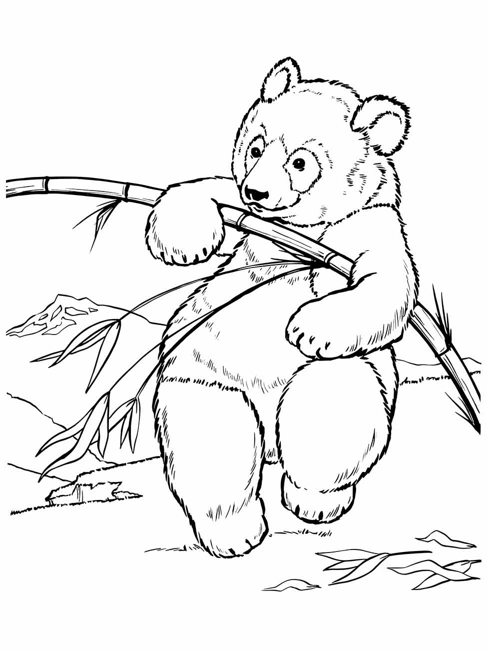 desenho panda para colorir 35