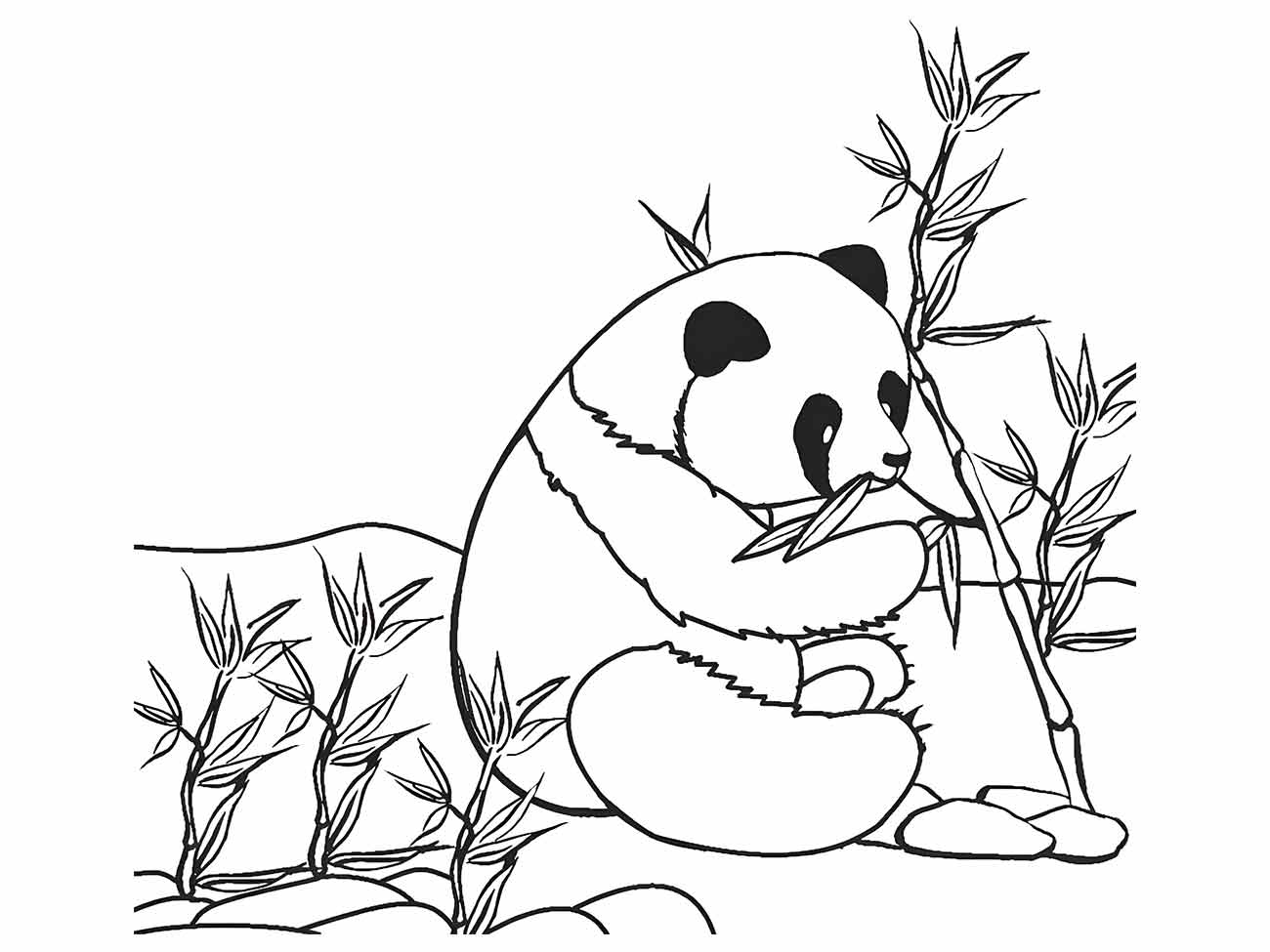 desenho panda para colorir 37