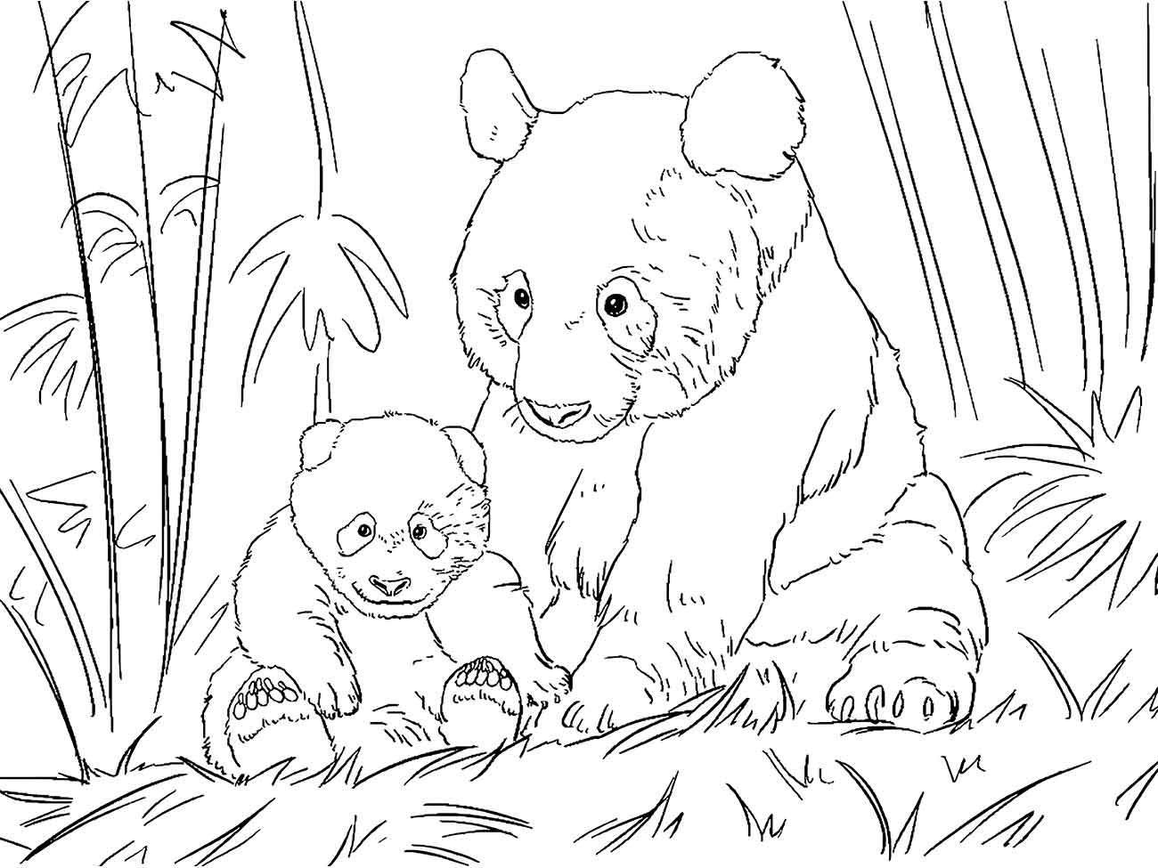 desenho pandas para colorir 49