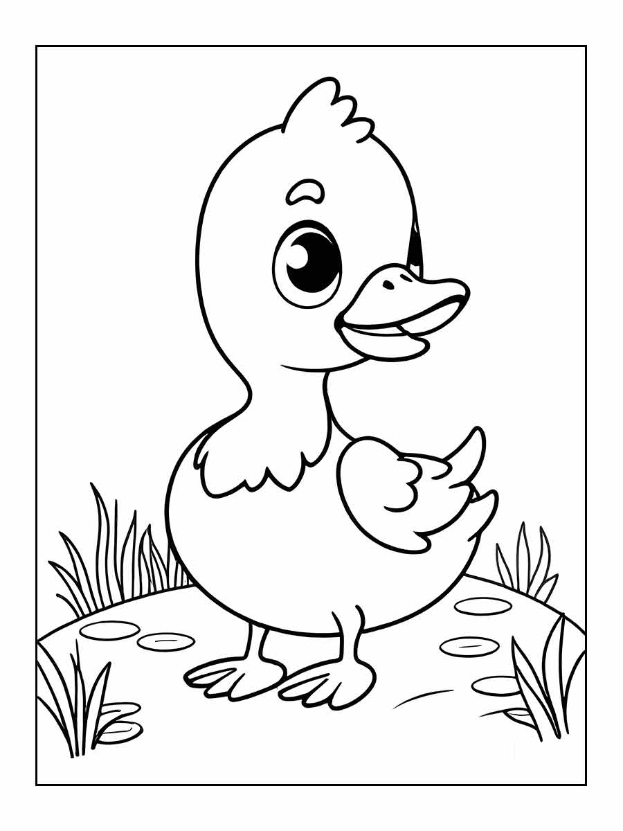 desenho pato para colorir 22