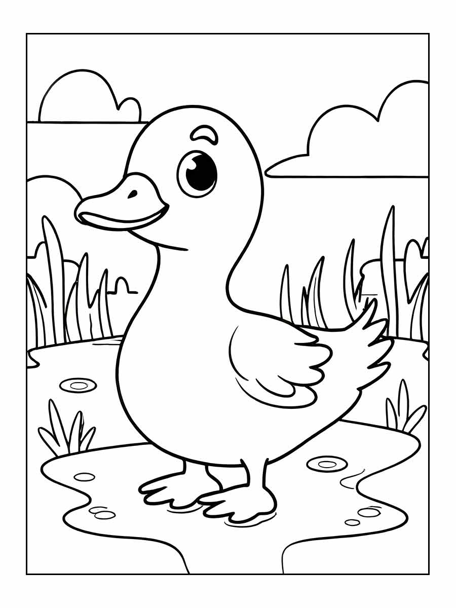 desenho pato para colorir 25