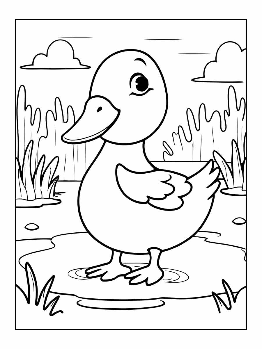 desenho pato para colorir 27