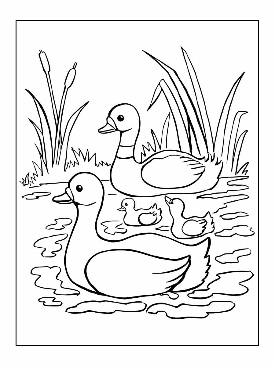 desenho pato para colorir 30