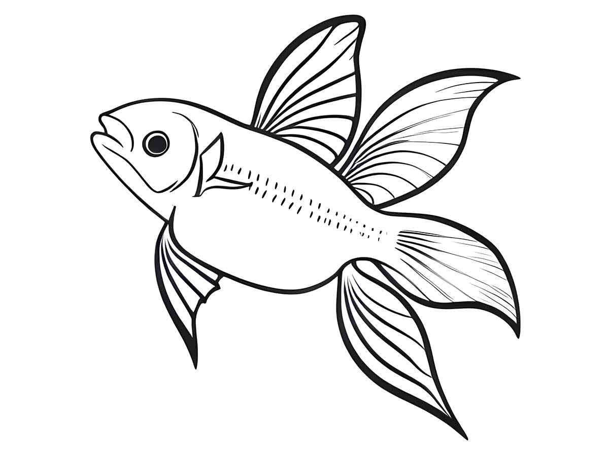 desenho peixe betta para colorir