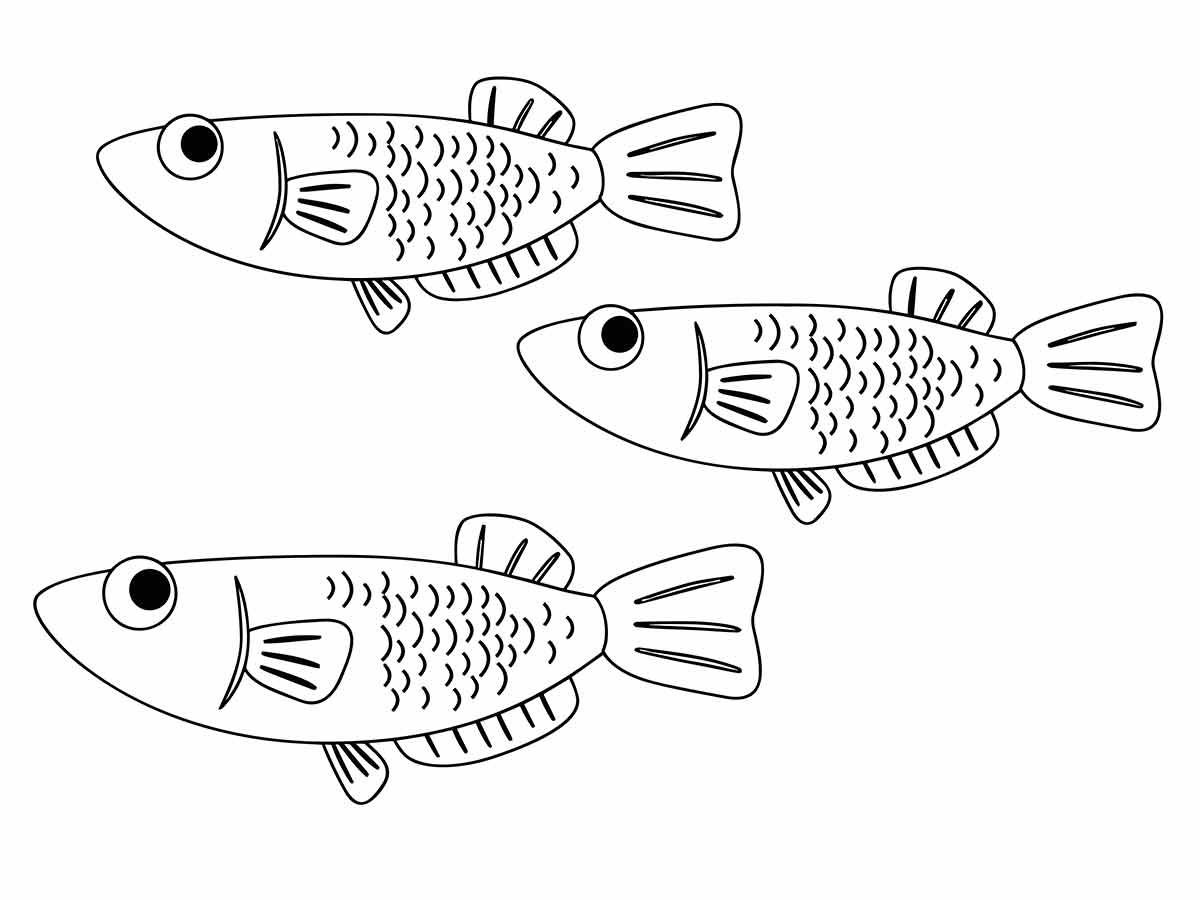 desenhos de peixes para colorir 42