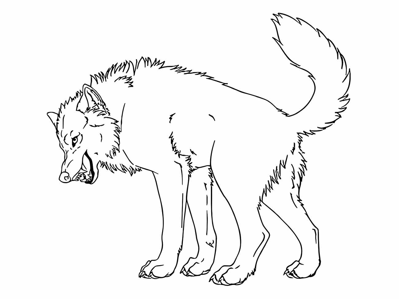 lobo para colorir 11