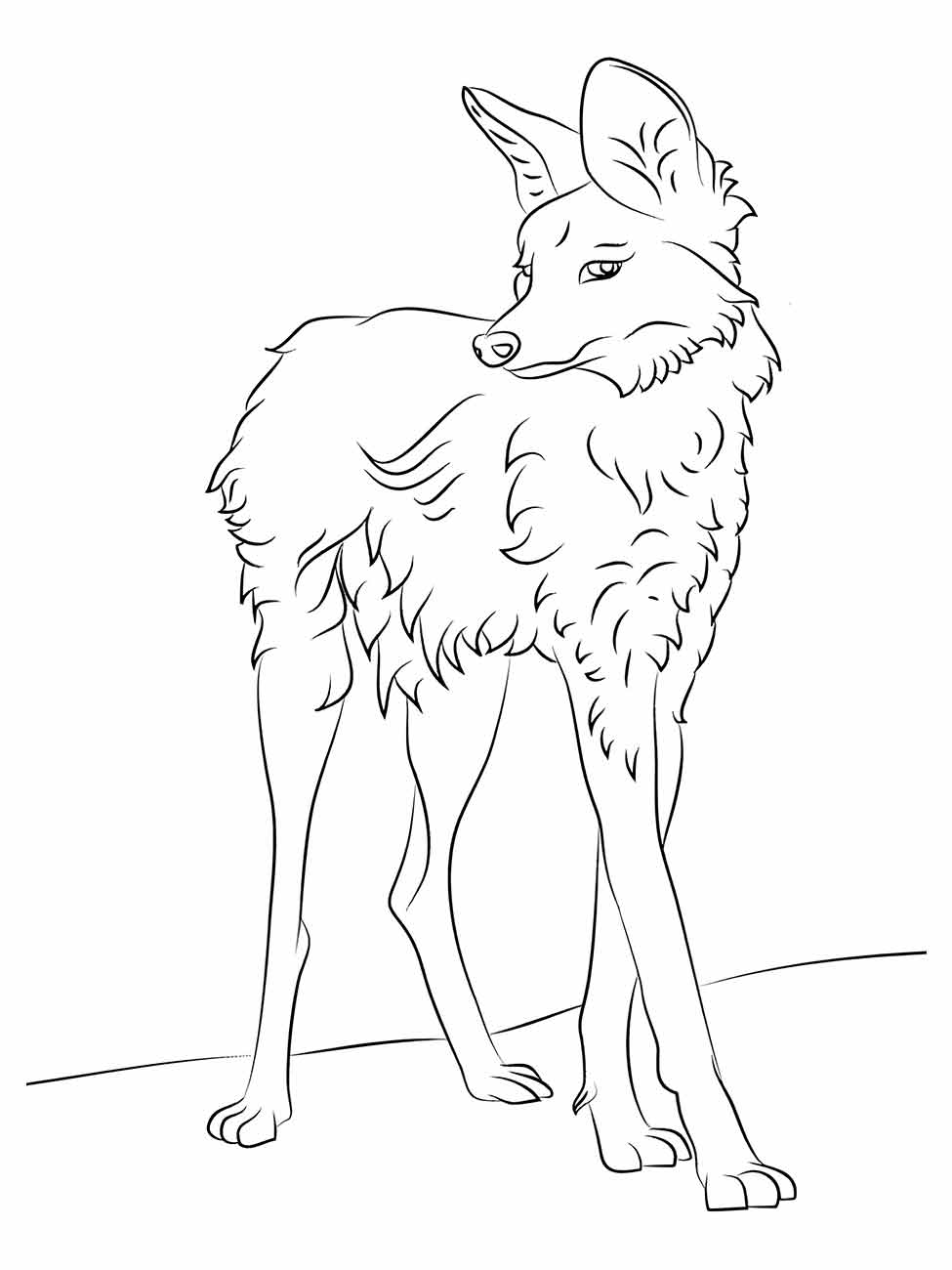 lobo para colorir 9