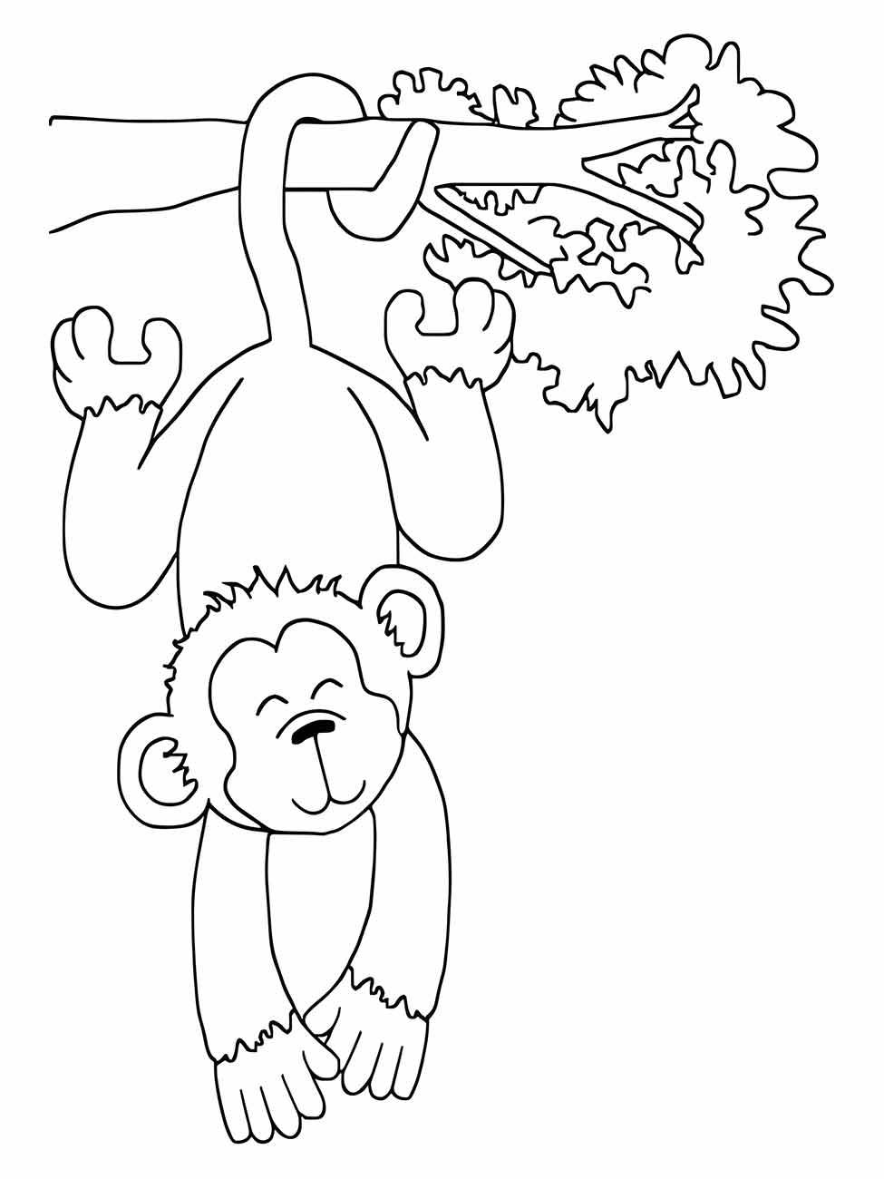 macaco para colorir 40