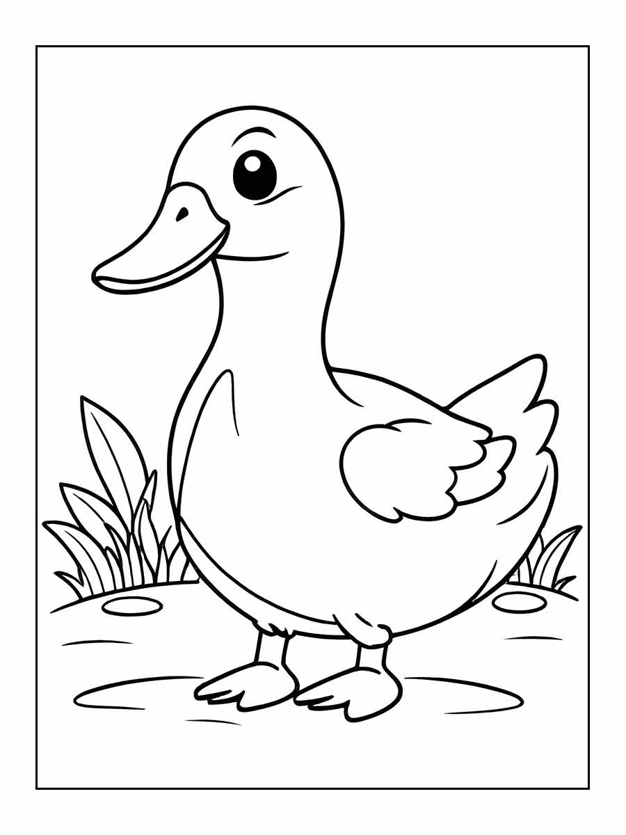 pato para colorir 1