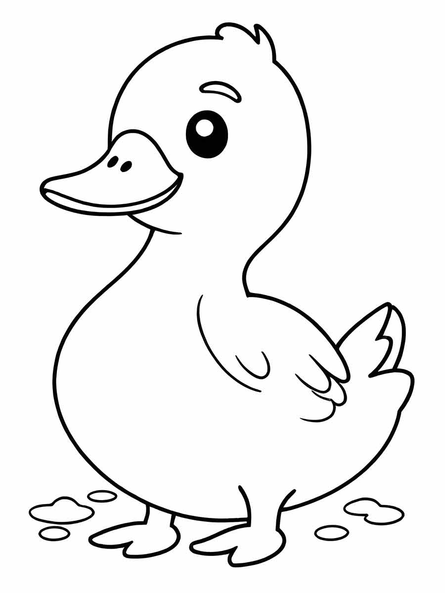 pato para colorir 6