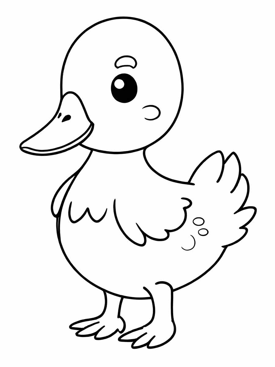 pato para colorir 7