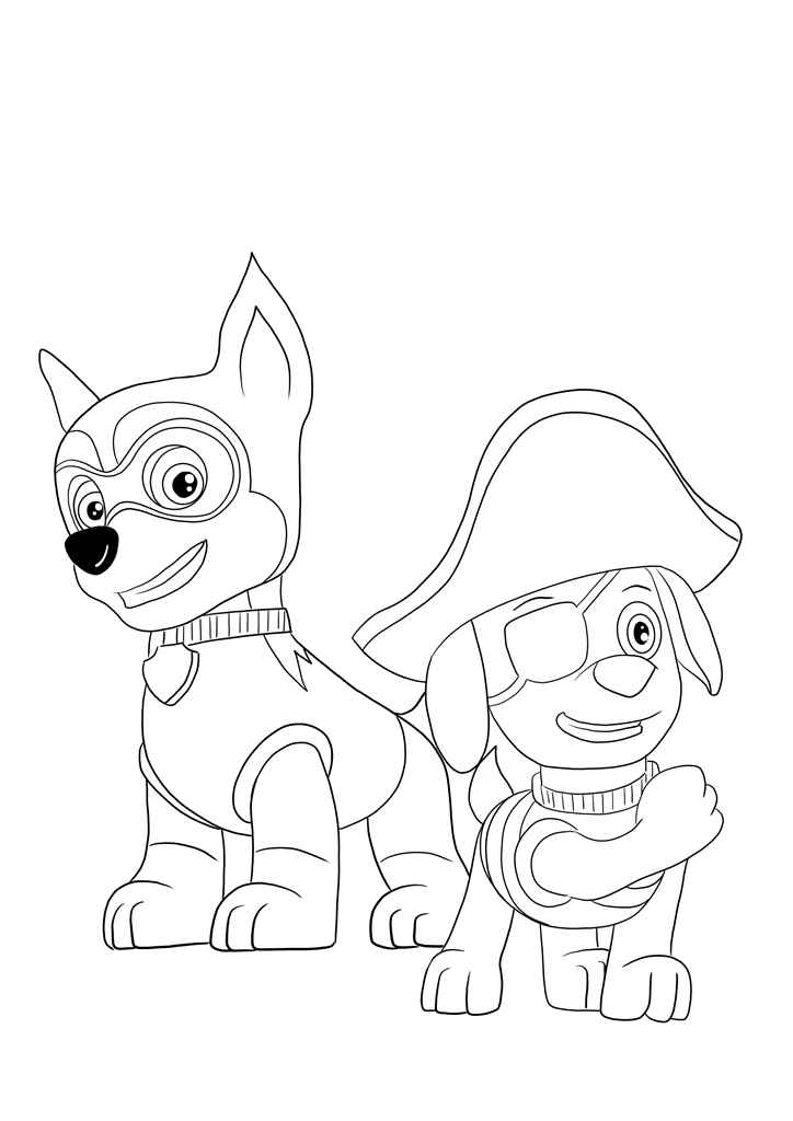 patrulha canina para colorir 47