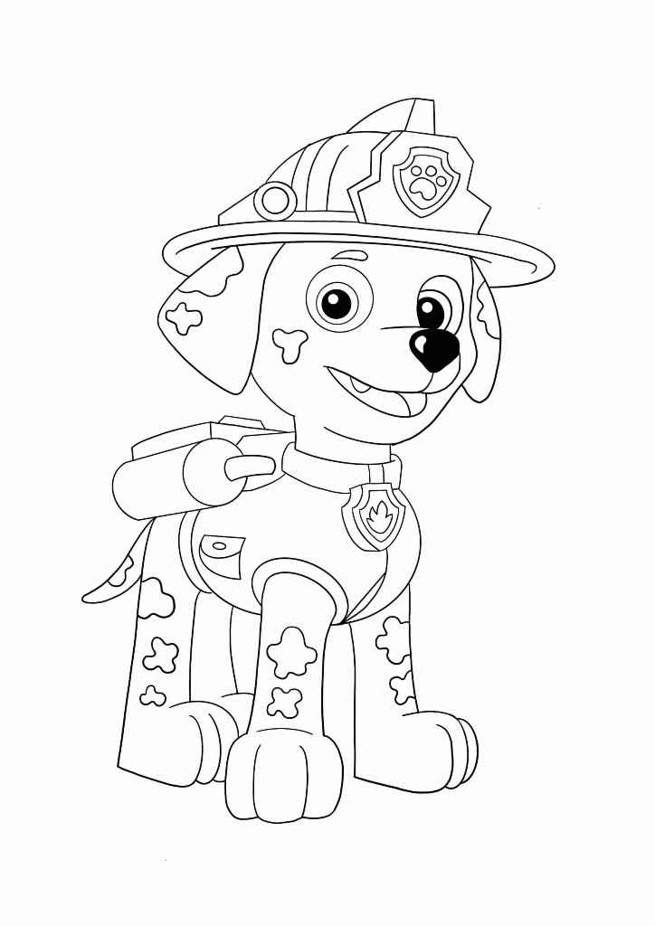 patrulha canina para colorir 56