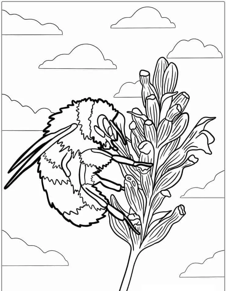 Abelha para colorir (17)