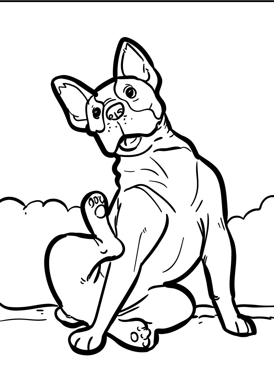 Cachorro para colorir (23)