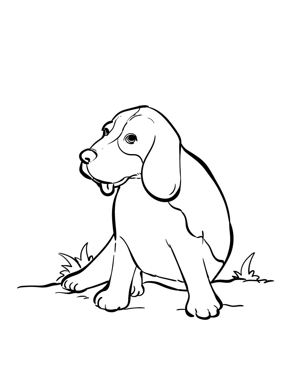 Cachorro para colorir (28)