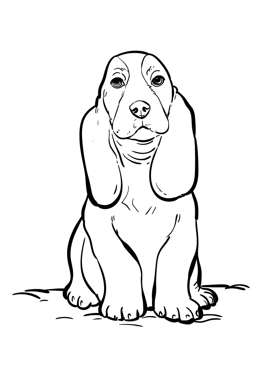 Cachorro para colorir (35)