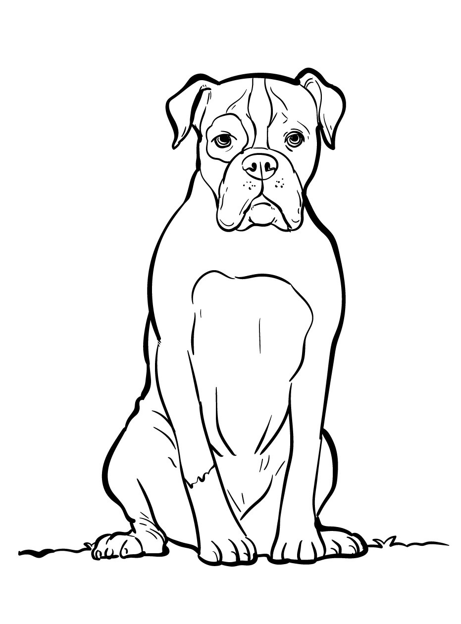 Cachorro para colorir (36)