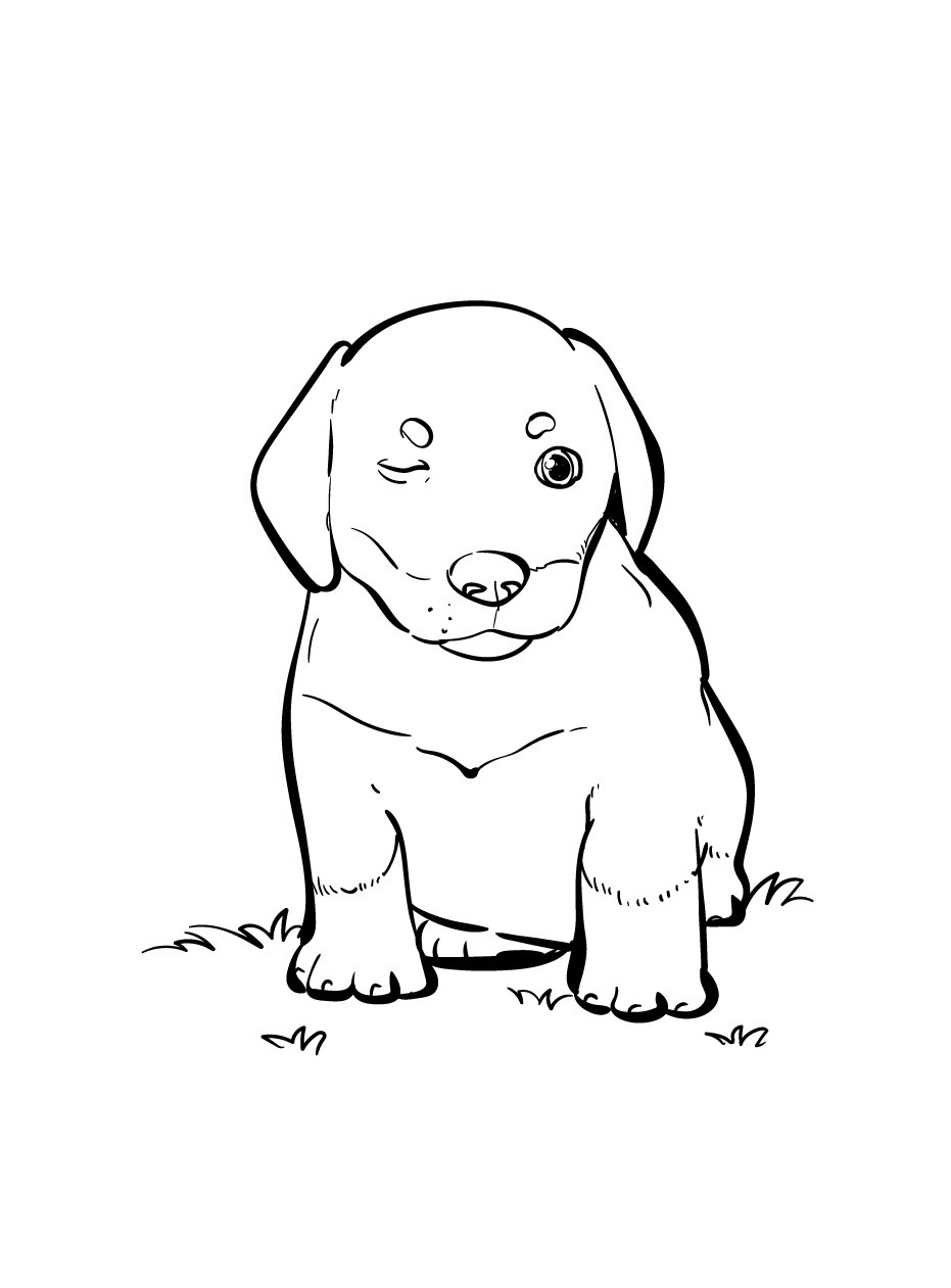 Cachorro para colorir (37)