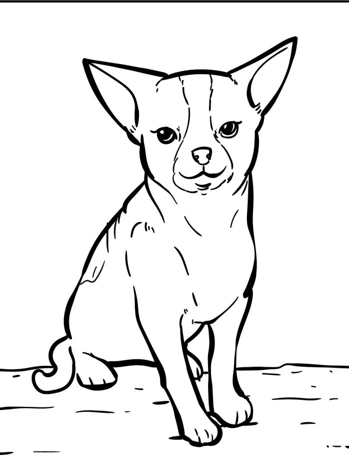 Cachorro para colorir (40)