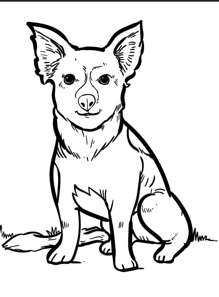 Cachorro para colorir (41)