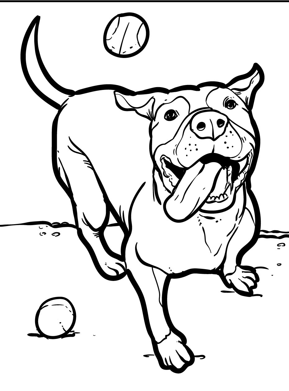 Cachorro para colorir (45)