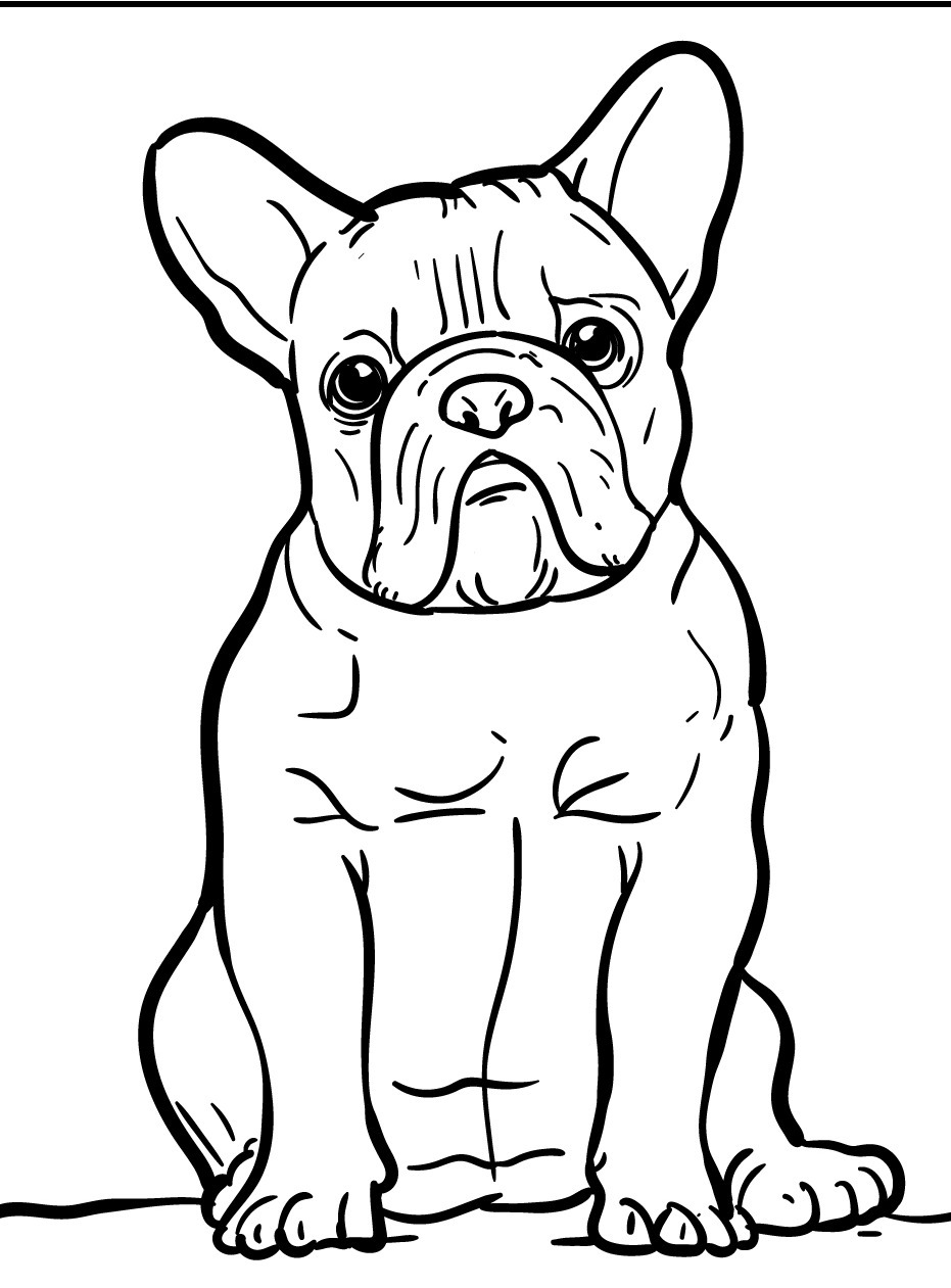 Cachorro para colorir (48)