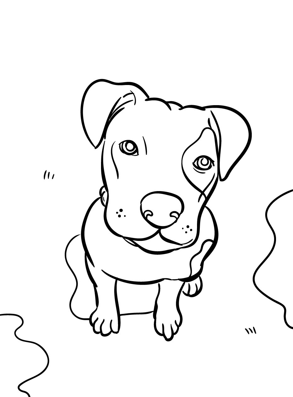 Cachorro para colorir (54)