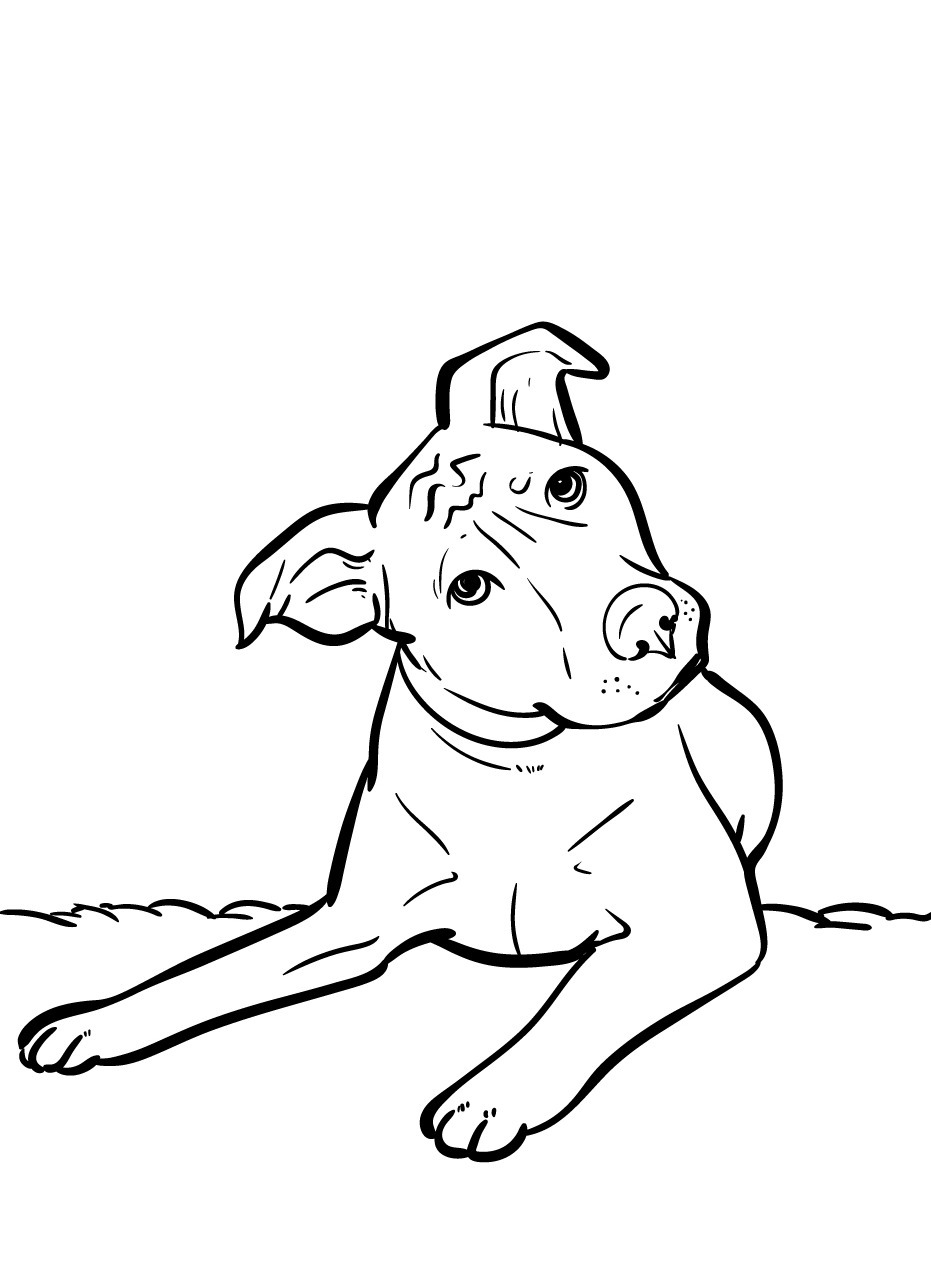 Cachorro para colorir (55)