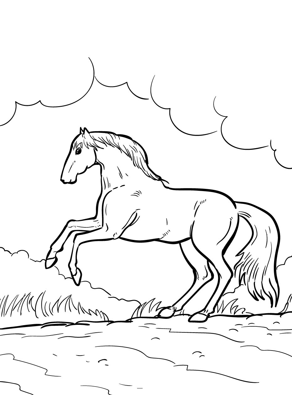 Cavalo para colorir (15)