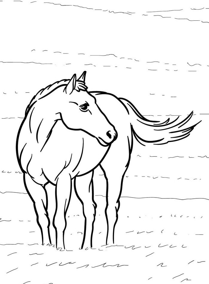 Cavalo para colorir (17)