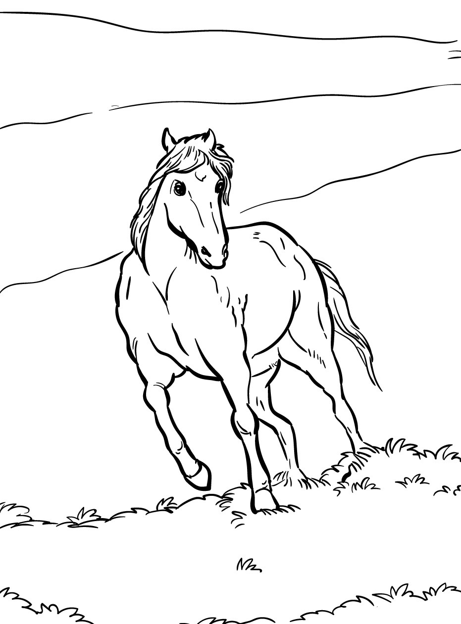 Cavalo para colorir (18)