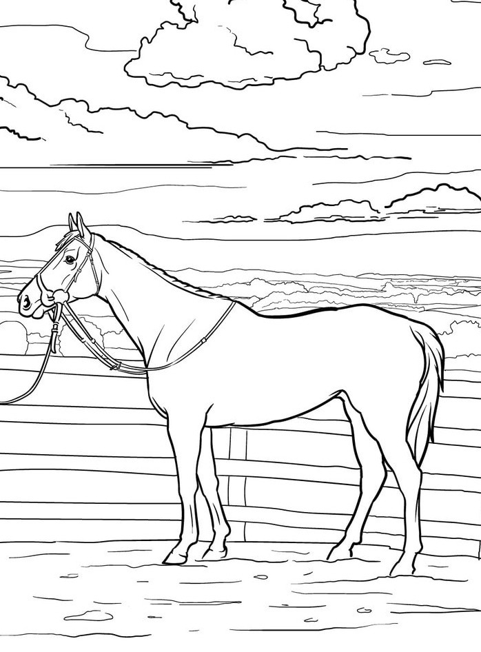 Cavalo para colorir (19)