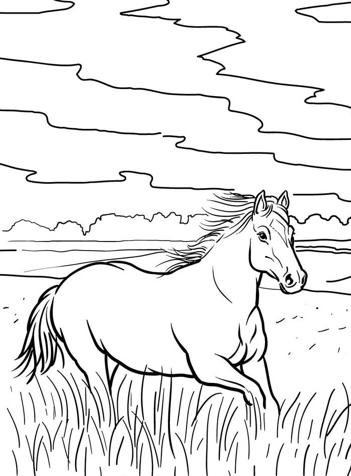 Cavalo para colorir (20)