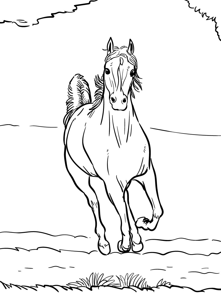 Cavalo para colorir (21)