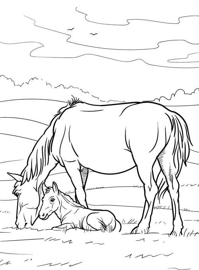 Cavalo para colorir (23)