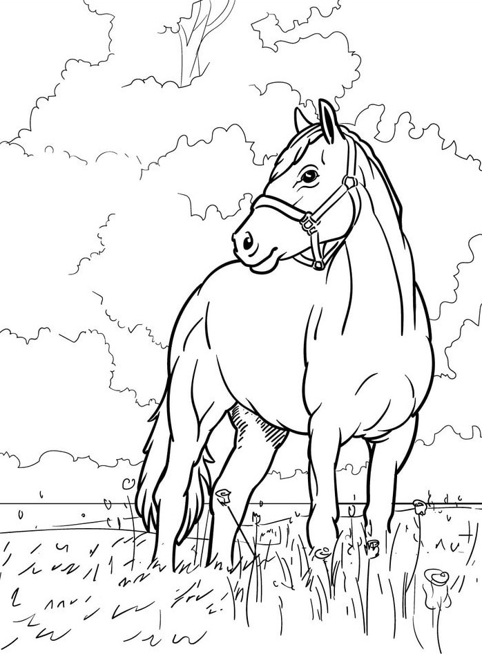 Cavalo para colorir (24)