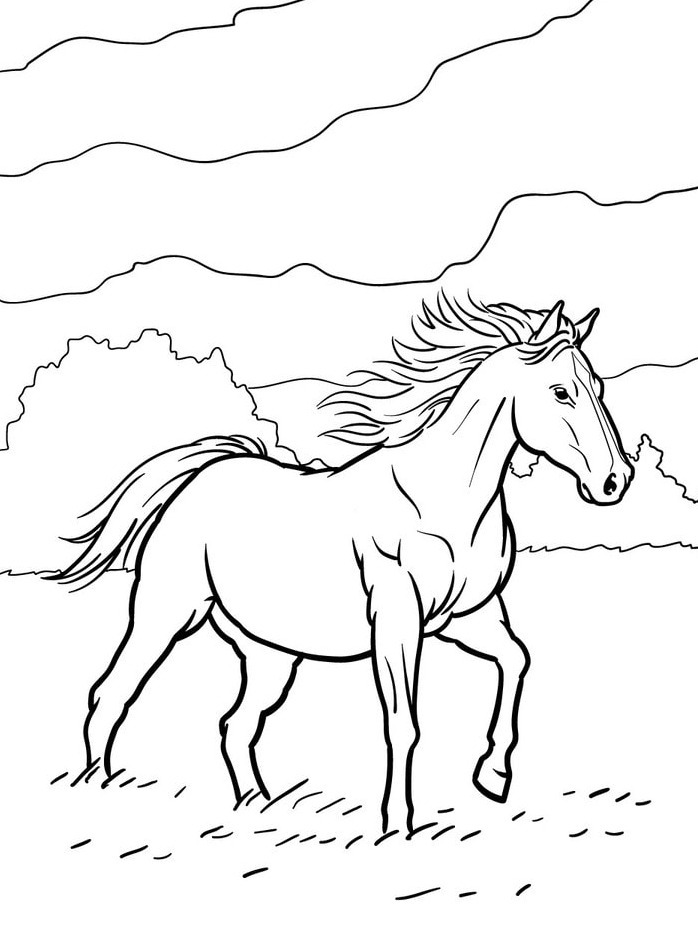 Cavalo para colorir (25)