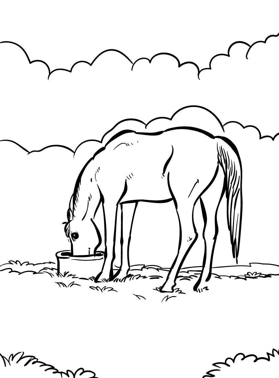 Cavalo para colorir (26)