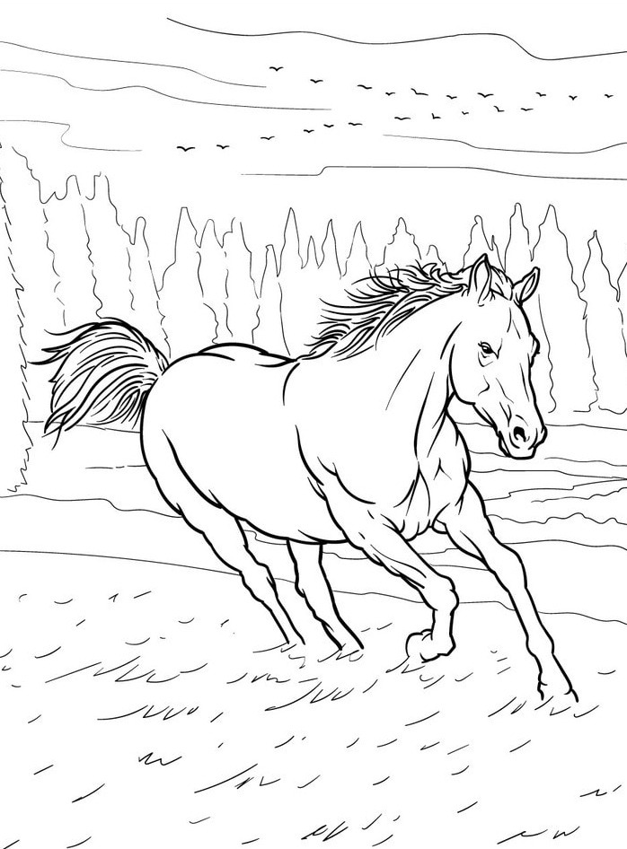 Cavalo para colorir (27)