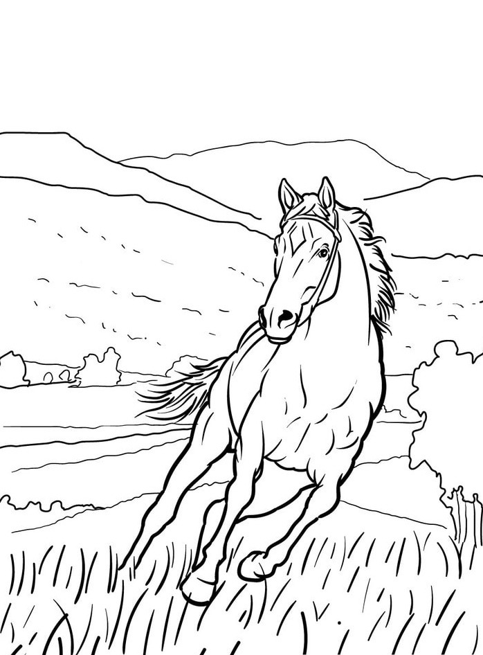 Cavalo para colorir (29)