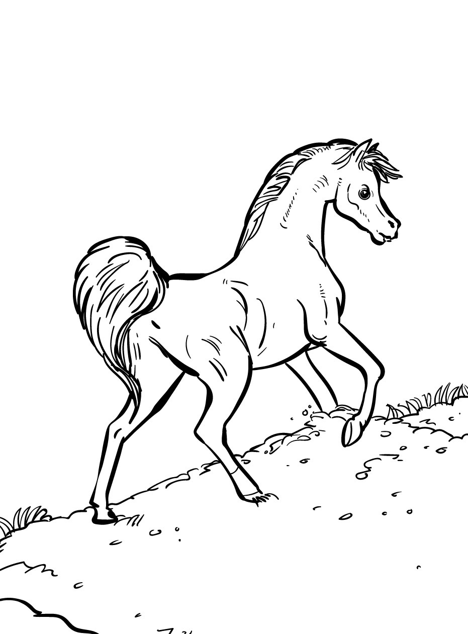 Cavalo para colorir (30)