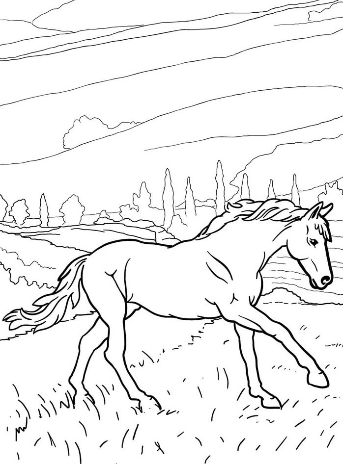 Cavalo para colorir (31)